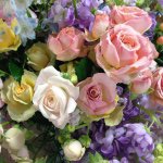 11235975_470507799782358_1320268579_a