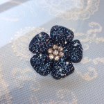 10012431_1376576129325059_1735346106_a