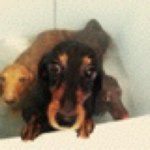 Profile_29466967_75sq_1332773046