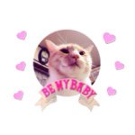 11417492_910625105661472_162648685_a