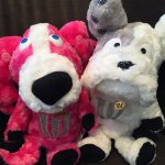 11326077_1455281354764343_1701940186_a