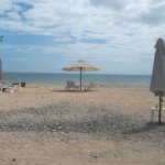 11176363_933315543367032_1765929956_a