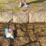 11184648_675420719252687_1454081272_a