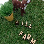 10899153_1576738465895015_936167821_a