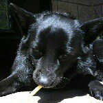 10731663_284256791770354_1961905004_a