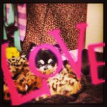 Profile_295422695_75sq_1359272411