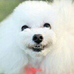 Profile_436225038_75sq_1399554482