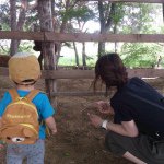 11325419_872368262831526_1544372498_a