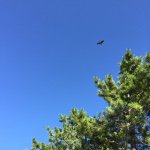 10005138_745914575486172_980658028_a