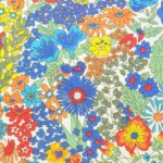 11208296_583856415051177_2095225878_a