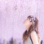 11356941_563537947119790_934350430_a