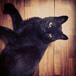 Profile_506007501_75sq_1396674204