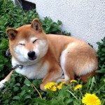 10546624_811912695500121_1586508839_a