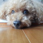 Profile_173626625_75sq_1363315596