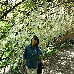 11262584_1597045777247666_1663044101_a