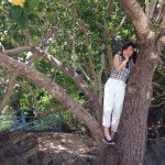 11018352_723504567768330_1007009368_a