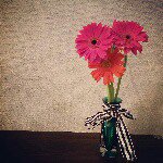 11230291_781937378580695_1276134018_a