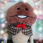 11085107_442664835910328_333318933_a