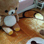 11386562_1593750524213620_489687295_a