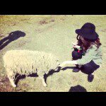 11377446_854906377919125_1658281175_a