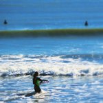 10986033_831651760239520_218558474_a