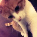 Profile_183133093_75sq_1339980523