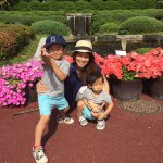 11327120_637347293068691_1952493885_a