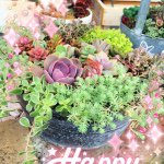 11187040_1654877144732702_2038573133_a