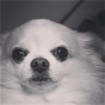 10986350_885555534840996_1130602569_a