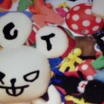 10520180_1441295152800058_1939229104_a