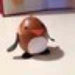 10616749_248620585347963_1335197357_a