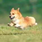 Profile_624704794_75sq_1382509049