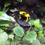 11274388_1616058478640529_1014735276_a