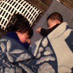 11049180_851066361606870_2085303018_a