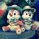 10706766_373720306110541_1465062925_a