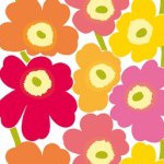 10748533_858746217489130_435366712_a