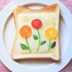 11376080_739118159532495_130505867_a