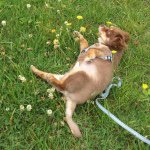 11427463_1602277970024341_1215825267_a