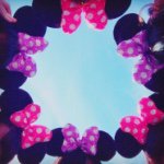 11372002_586695978138840_686436773_a