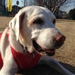 Profile_560181165_75sq_1398276974