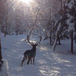 10946340_783266741752698_1908707128_a