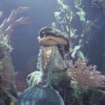 11372133_1119454511403390_268056799_a