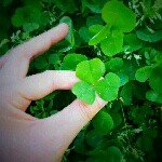 Profile_762004428_75sq_1386344240