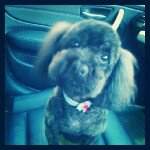 Profile_221121847_75sq_1347369053