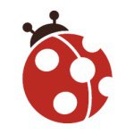 11005183_892770570745127_162902157_a