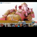 11410538_842985305784577_526732907_a