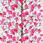 10413915_238074333053146_87529586_a