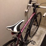 11247747_486664118159039_771053977_a