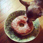 924643_1577758475814583_1588136485_a