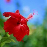 11055880_779651672121058_1271993420_a